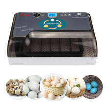 Load image into Gallery viewer, HHD Newest Best Farm Hatchery Machine 12Egg Hatchers Cheap Price Chicken Automatic Egg Incubator China for Sale Quail Brooder
