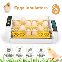 Load image into Gallery viewer, Practical 24 Eggs Large Capacity Mini Incubator For Chicken Poultry Quail Turkey Eggs Home Use Automatic Egg Turning Drop ship
