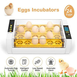 Practical 24 Eggs Large Capacity Mini Incubator For Chicken Poultry Quail Turkey Eggs Home Use Automatic Egg Turning Drop ship